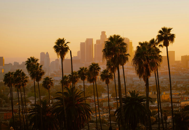 A scenic view of the Los Angeles skyline with tall palm trees silhouetted against a golden sunset.