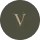 V Icon