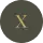 X Icon